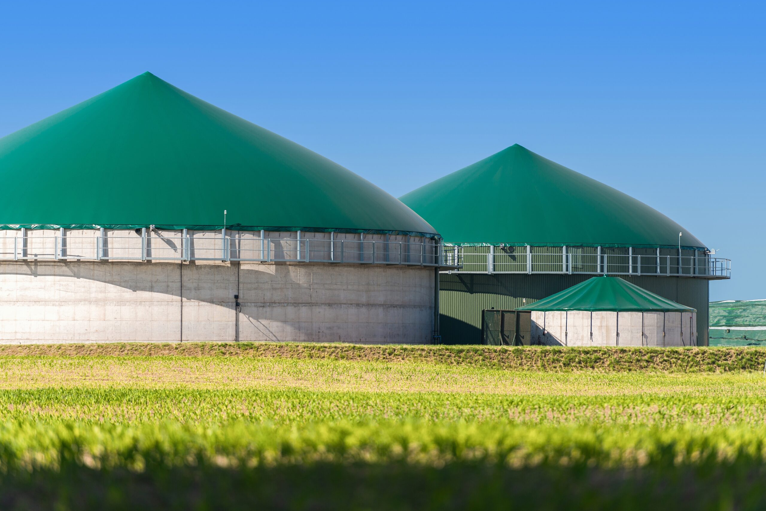 Energy, Materials and Biochemicals