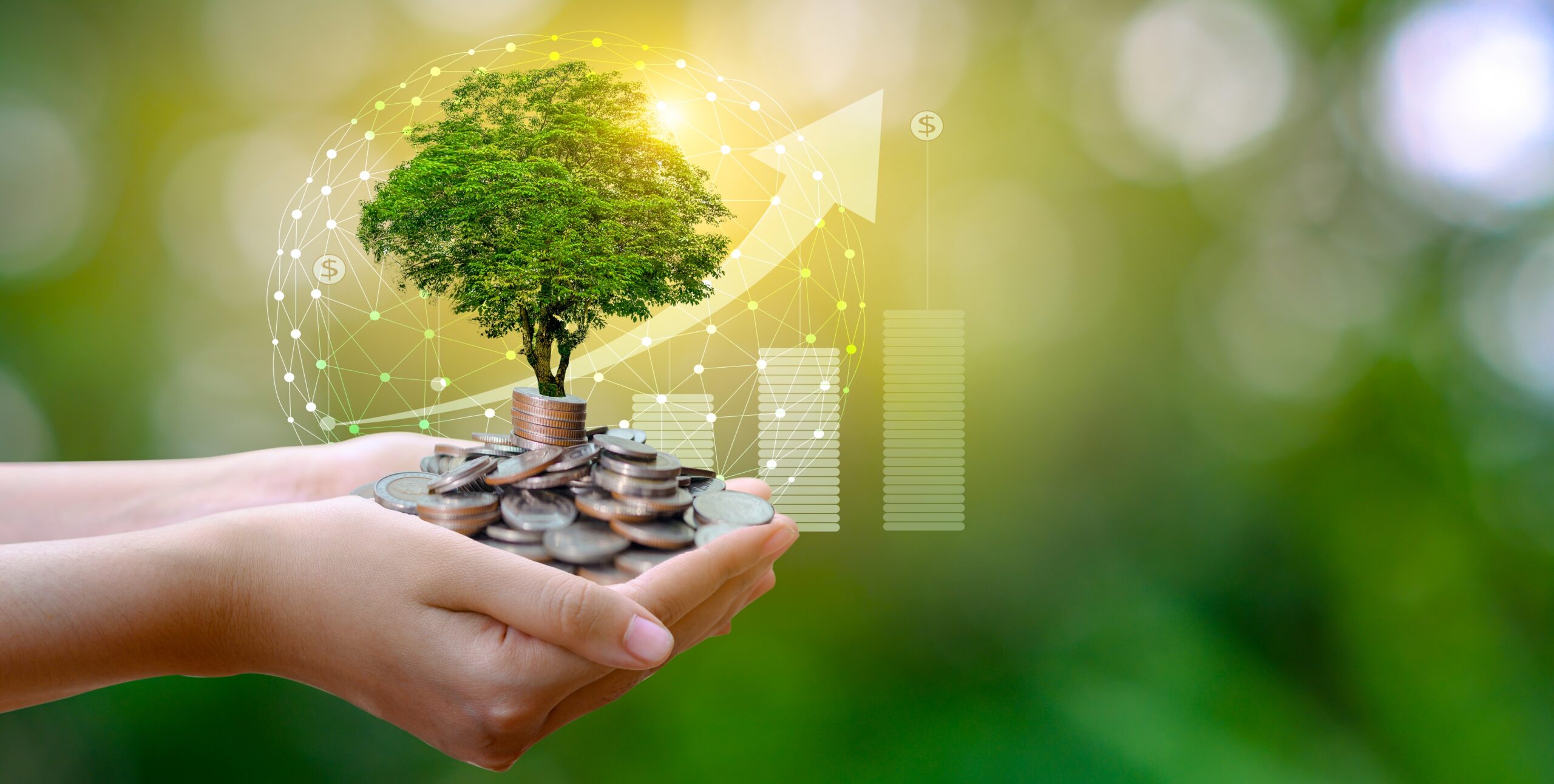 Circular Economy