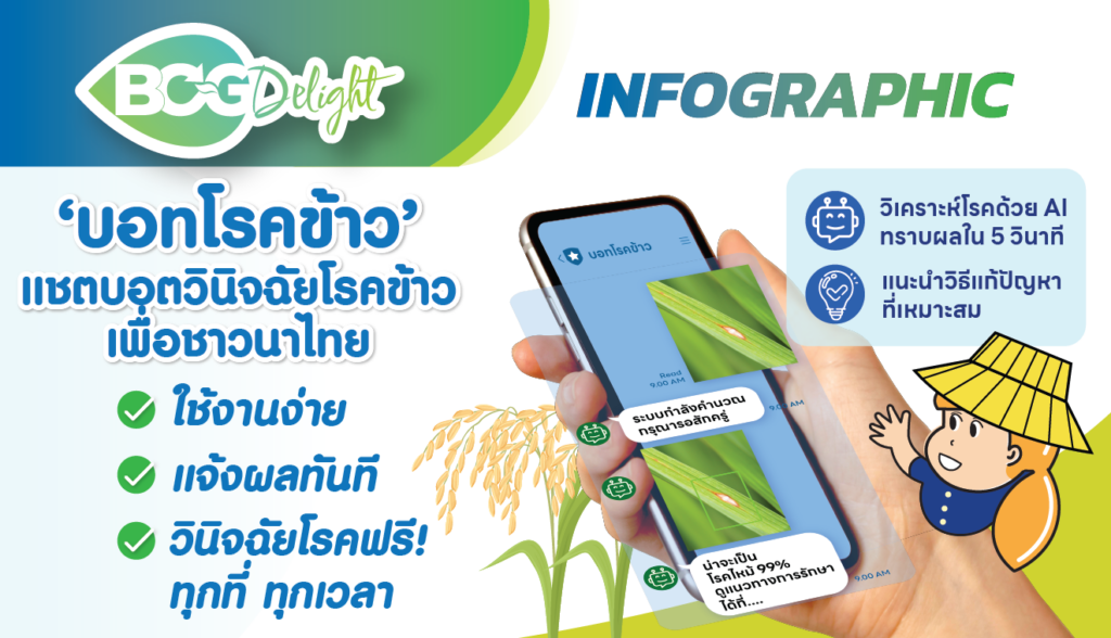 ‘บอทโรคข้าว’ แชตบอตวินิจฉัยโรคข้าวเพื่อชาวนาไทย