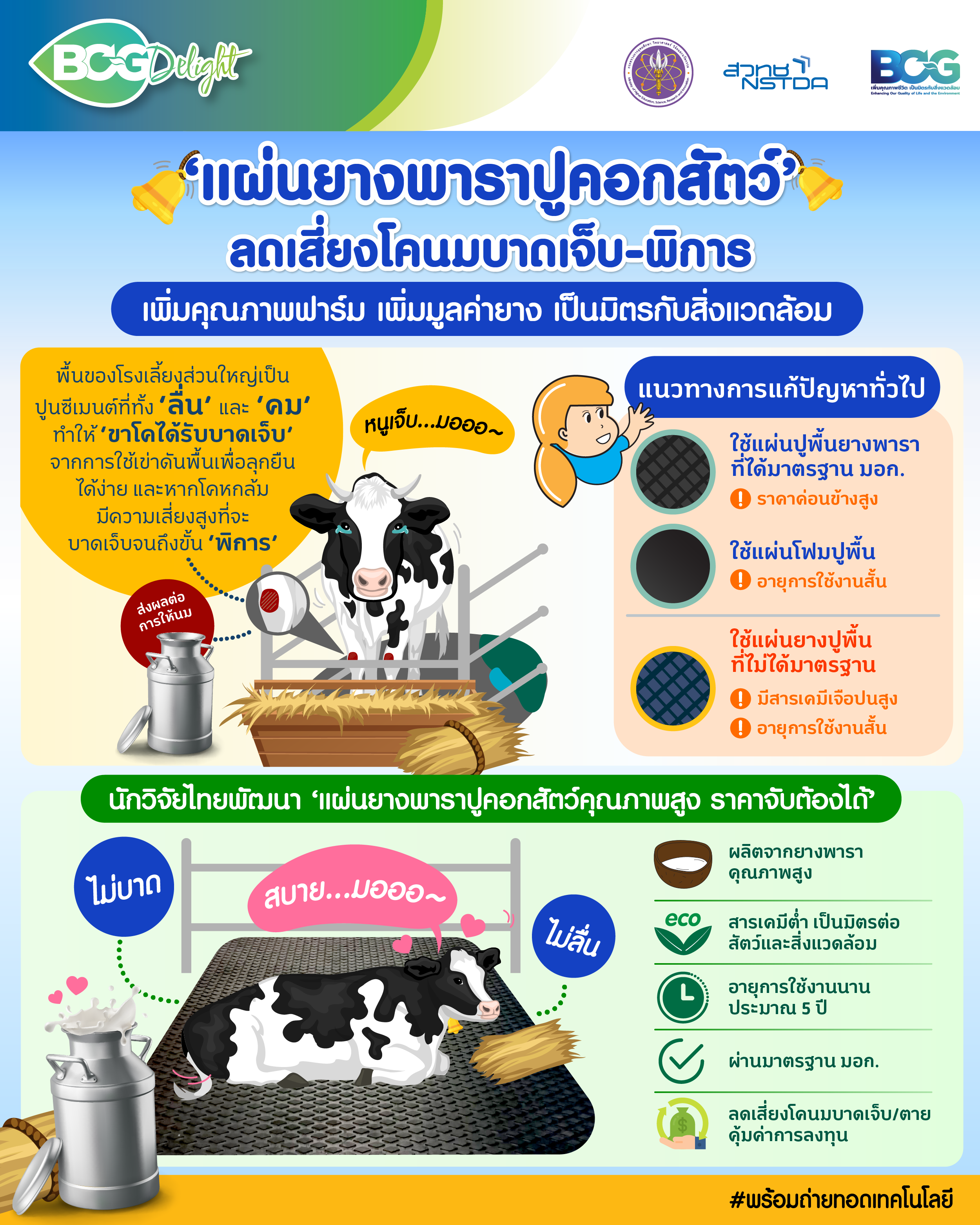 แผ่นยางพาราปูคอกสัตว์ ลดเสี่ยงโคนมบาดเจ็บ-พิการ